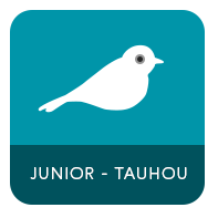 tauhouBtn.png