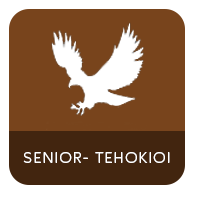 tehokioiBtn.png